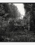 Framed black and white photo of a bicycle lying on its side in a forest setting
