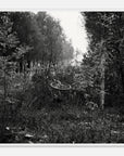 Framed black and white art print of an abandoned bicycle in a forest setting