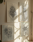 Four framed black and white artworks on a wall with natural light casting shadows.