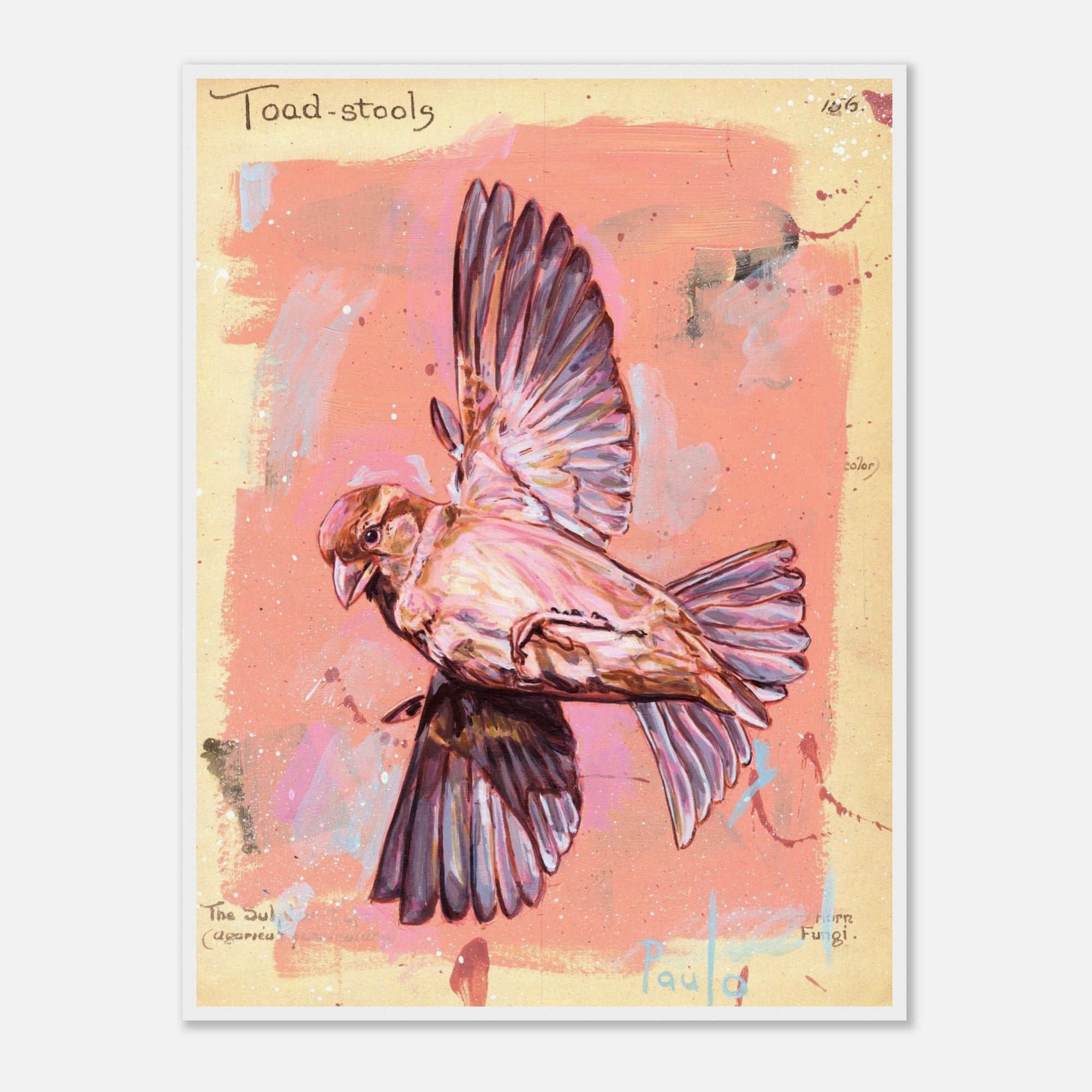 Artistic depiction of a bird in flight on a textured pink and beige background
