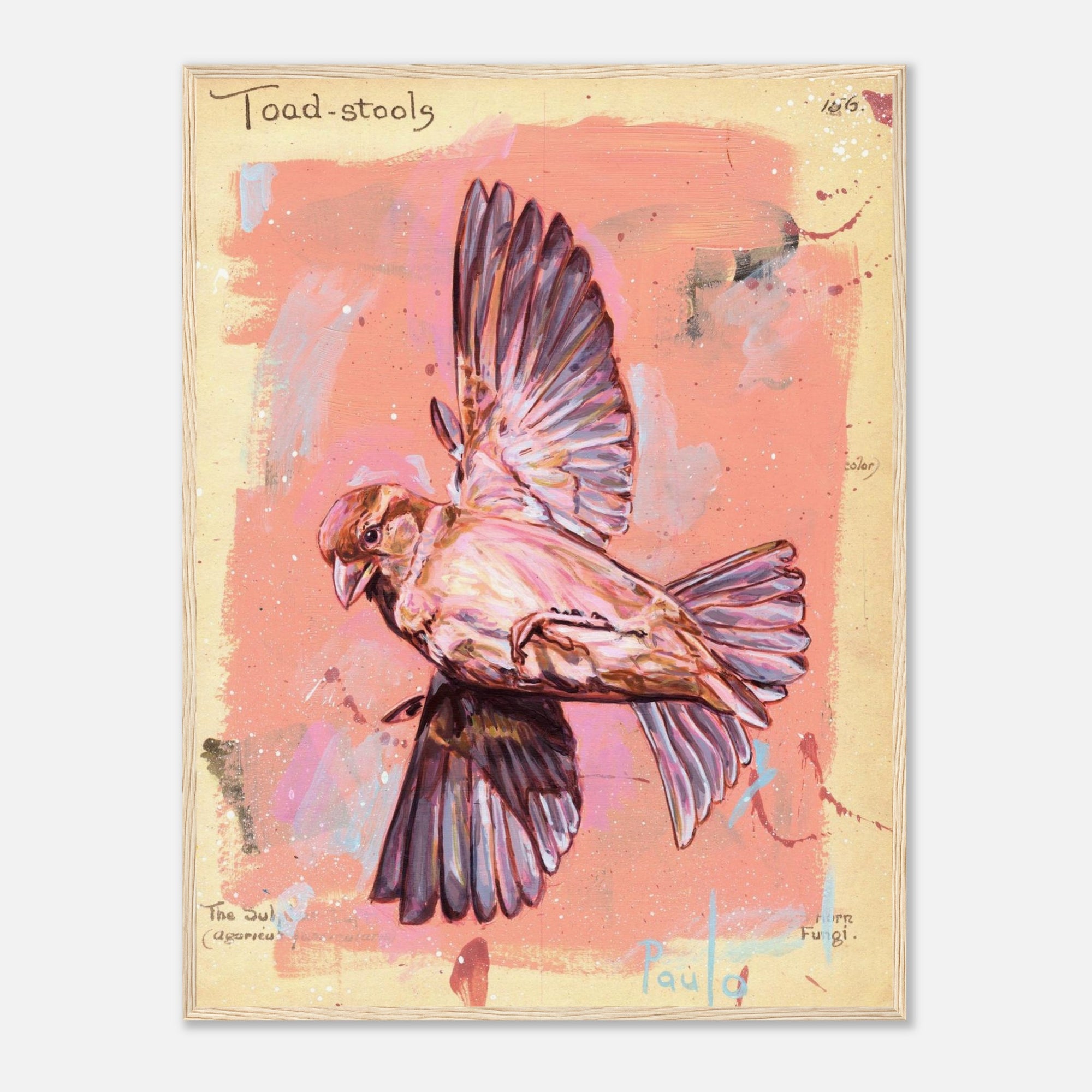 Artistic depiction of a bird in flight on a textured background with 'Toad-stool' text.