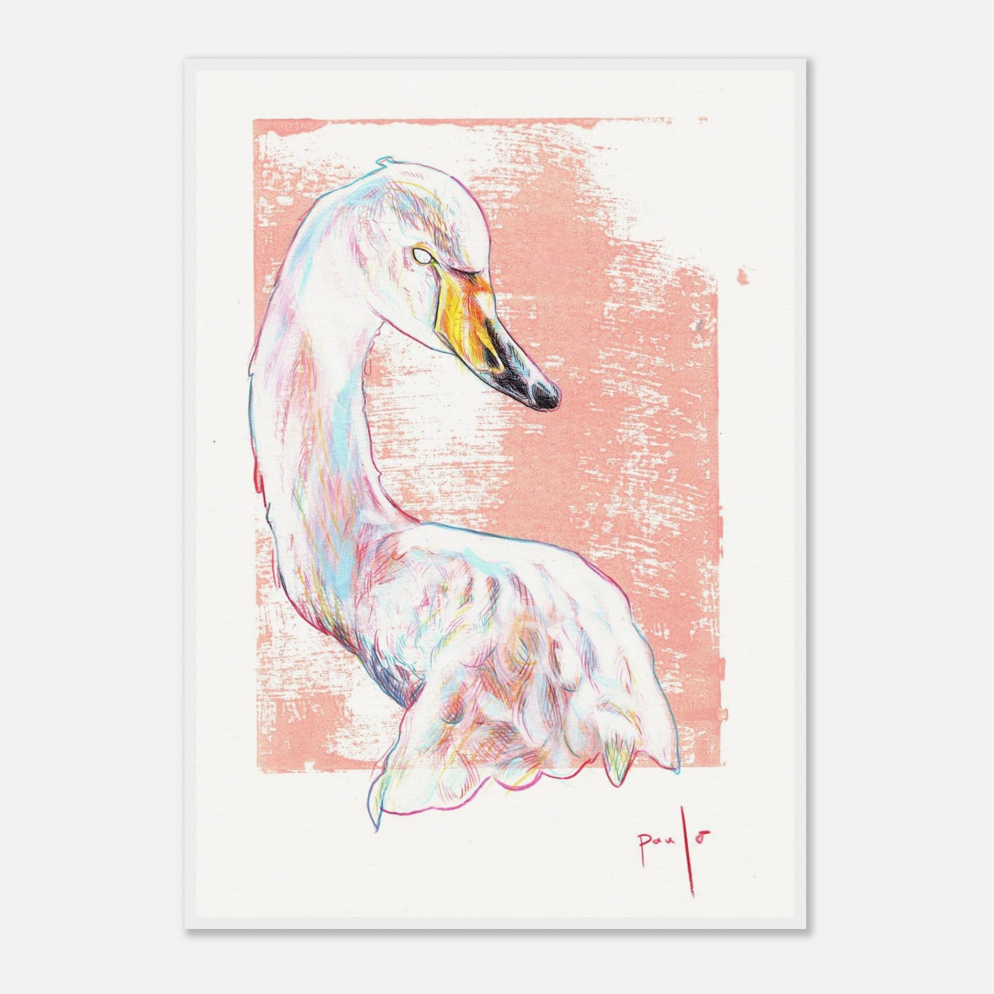 Colorful swan illustration on a pink background