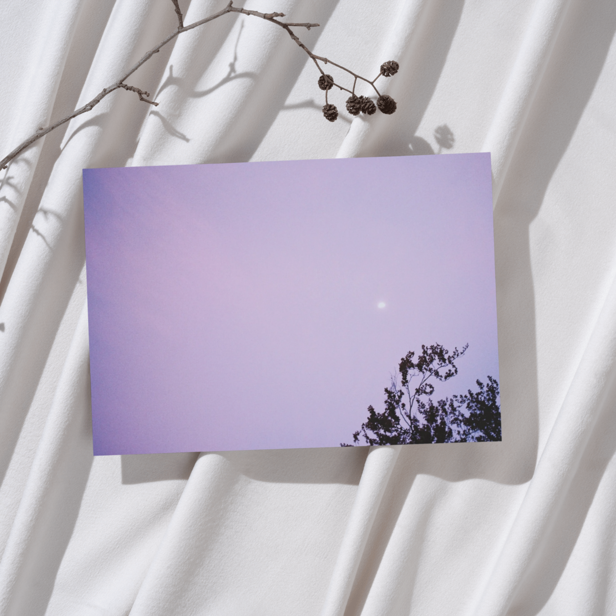 Rectangular card with a purple gradient and tree silhouette on a white background