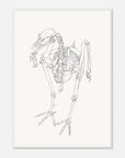 Line drawing of a bird skeleton on a white background