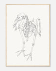 Framed line drawing of a bird skeleton on a white background