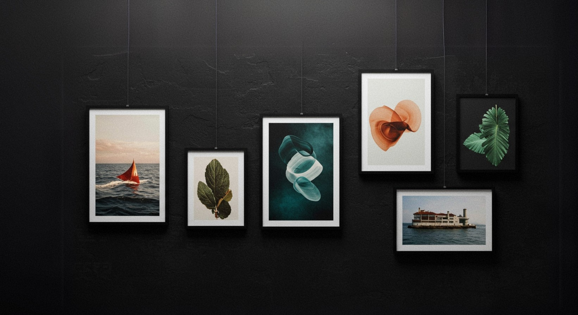 black gallery wall, minimal prints, calming art, nature art, nature prints